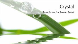  Presentation with grass - Colorful presentation theme enhanced with dew morning - drops with green grass backdrop and a  colored foreground
