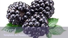  Presentation with leaves - Audience pleasing theme consisting of dewberries-with-leaves-isolated-over backdrop and a violet colored foreground