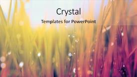  Presentation with soft focus abstract nature - Theme featuring dewdrop - abstract nature background autumn grass background and a  colored foreground