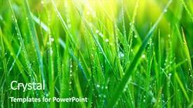  Presentation with soft focus abstract nature - Colorful presentation theme enhanced with dewdrop - grass fresh green spring grass backdrop and a forest green colored foreground