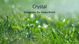  Presentation with rain - Presentation theme featuring dewdrop - grass with rain drops watering background and a seafoam green colored foreground