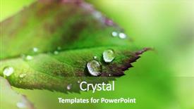  Presentation with water drop green planet - PPT theme consisting of dewdrop - green grass with dew drops background and a tawny brown colored foreground