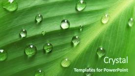  Presentation with green chemistry close up - Amazing slide deck having dewdrop - green leaf with droplets closeup backdrop and a forest green colored foreground