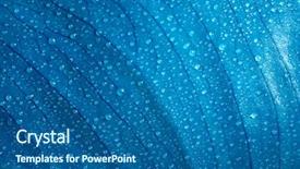  Presentation with water leaf - Colorful presentation enhanced with dewdrop - leaf background with water drops backdrop and a  colored foreground