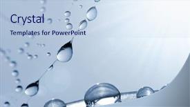  Presentation with spider web - Amazing slide deck having dewy - dew drops on spider web backdrop and a light blue colored foreground