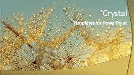 Presentation with crystal natural flower - Colorful slide set enhanced with dewy dandelion flower at sunrise backdrop and a gray colored foreground