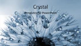  Presentation with dandelion - Slide deck enhanced with dewy dandelion flower close up background and a light blue colored foreground