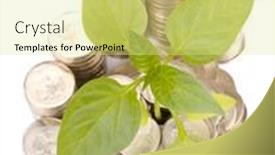  Presentation with transplant - Amazing PPT theme having diagram-of-growth-from-coins backdrop and a  colored foreground