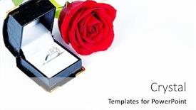  Presentation with diamond - Audience pleasing PPT layouts consisting of diamond in case isolated on white background backdrop and a white colored foreground