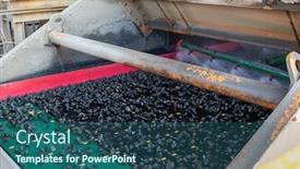  Presentation with diamond - Presentation having diamond-mine-detail-of-grid background and a ocean colored foreground