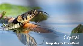  Presentation with solar water pump - Colorful slide deck enhanced with dice-snake-in-the-water backdrop and a seafoam green colored foreground
