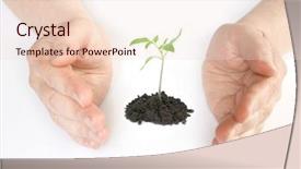  Presentation with hands planting a cabbage seedling - Cool new presentation theme with dictionary theme - holding a plant between hands backdrop and a  colored foreground