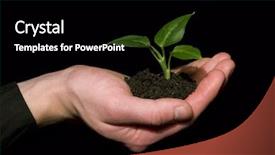  Presentation with black hands - Presentation with dictionary theme - plant between hands on black background and a black colored foreground