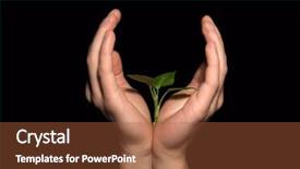  Presentation with black hands - Presentation theme having dictionary theme - plant between hands on black background and a red colored foreground