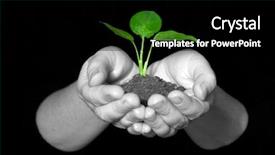  Presentation with plant - Colorful presentation theme enhanced with dictionary theme - plant in hands backdrop and a  colored foreground