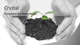  Presentation with dictionary - Cool new presentation theme with dictionary theme - wooman holding a plant backdrop and a light gray colored foreground