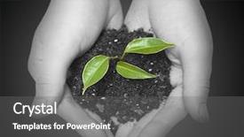  Presentation with dictionary - PPT layouts with dictionary theme - wooman holding a plant background and a gray colored foreground