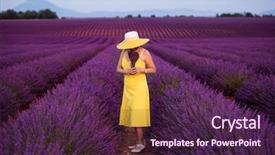  Presentation with new orleans yellow and purple - Presentation theme with die frau mit dem lila hut - beautiful young asian woman background and a  colored foreground