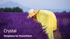  Presentation with new orleans yellow and purple - Cool new presentation design with die frau mit dem lila hut - beautiful young asian woman backdrop and a  colored foreground