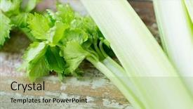  Presentation with celery - Amazing presentation theme having diet vegetable food cooking and objects concept - close up of celery stems on wooden table backdrop and a mint green colored foreground