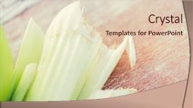  Presentation with celery - Presentation theme having diet vegetable food cooking and objects concept - close up of celery stems on table background and a lemonade colored foreground