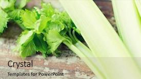  Presentation with celery - Audience pleasing presentation consisting of diet vegetable food cooking and objects concept - close up of celery stems on wooden table backdrop and a mint green colored foreground