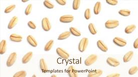  Presentation with soft oatmeal cookies - Cool new theme with dietetics - raw oatmeal on white background backdrop and a cream colored foreground