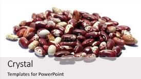  Presentation with kidney - Beautiful theme featuring diference - kidney beans of diferent colors backdrop and a  colored foreground