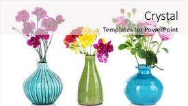  Presentation with beautiful flowers border floral design - Cool new slide set with different beautiful flowers in vases backdrop and a sky blue colored foreground