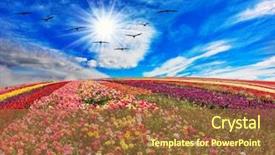  Presentation with pink maroon - Slide deck enhanced with different colors - red pink maroon background and a tawny brown colored foreground