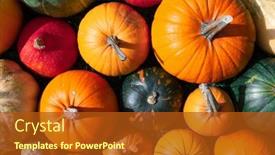  Presentation with closeup of halloween cupcake - Presentation theme having different-colourful-kind-of-pumpkins background and a  colored foreground