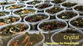 Presentation with food delivery - Audience pleasing PPT layouts consisting of different-fish-and-chuka-wakame backdrop and a tawny brown colored foreground