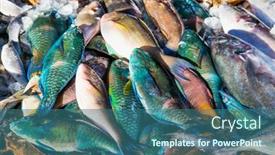  Presentation with egypt - Amazing presentation design having different-fish-on-open-fish backdrop and a ocean colored foreground