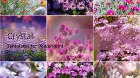  Presentation with theme - PPT theme enhanced with different-flowers-collection-spring-theme background and a coral colored foreground