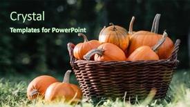  Presentation with garden - Slides having different-kind-of-pumpkins background and a  colored foreground