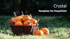  Presentation with different - Theme enhanced with different-kind-of-pumpkins background and a black colored foreground