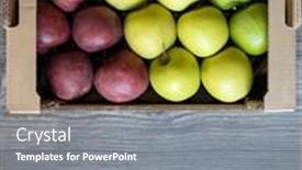  Presentation with green apples - Colorful PPT theme enhanced with different-kinds-of-green backdrop and a gray colored foreground