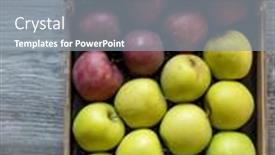  Presentation with green apples - Amazing presentation design having different-kinds-of-green backdrop and a gray colored foreground