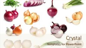  Presentation with onion - Slide deck consisting of different kinds of onion background and a cream colored foreground