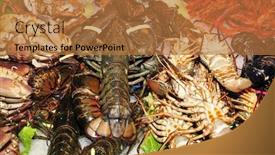  Presentation with shellfish - Presentation theme enhanced with spider crab - different kinds of shellfish background and a coral colored foreground