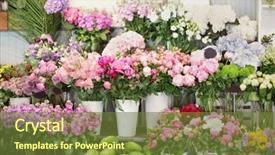  Presentation with beautiful flowers border floral design - PPT theme enhanced with different others - beautiful peonies and other flowers background and a tawny brown colored foreground