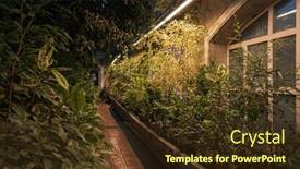  Presentation with greenhouse - Slides consisting of different-plants-in-the-greenhouse background and a tawny brown colored foreground