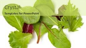  Presentation with leaves flat lay - Amazing PPT theme having different salad leaves handful isolated on white background top view flat lay backdrop and a yellow colored foreground