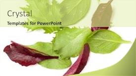  Presentation with leaves flat lay - Amazing theme having different salad leaves handful isolated over white background top view flat lay backdrop and a blonde colored foreground