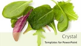  Presentation with leaves flat lay - Audience pleasing presentation design consisting of different-salad-leaves-handful-isolated backdrop and a yellow colored foreground