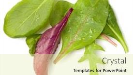  Presentation with leaves flat lay - Slide set featuring different-salad-leaves-handful-isolated background and a blonde colored foreground