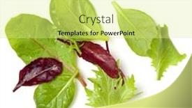  Presentation with leaves flat lay - Presentation design with different-salad-leaves-handful-isolated background and a blonde colored foreground