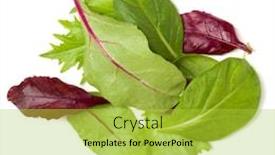  Presentation with leaves flat lay - Slide deck consisting of different-salad-leaves-handful-isolated background and a yellow colored foreground