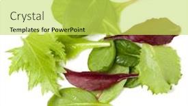  Presentation with leaves flat lay - Colorful presentation design enhanced with different-salad-leaves-handful-isolated backdrop and a yellow colored foreground