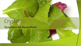  Presentation with leaves flat lay - Presentation theme consisting of different-salad-leaves-handful-isolated background and a gold colored foreground